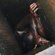Illustration for article titled Man Found in Greasy Restaurant Duct Was Stuck for 2 Days Before Being Rescued